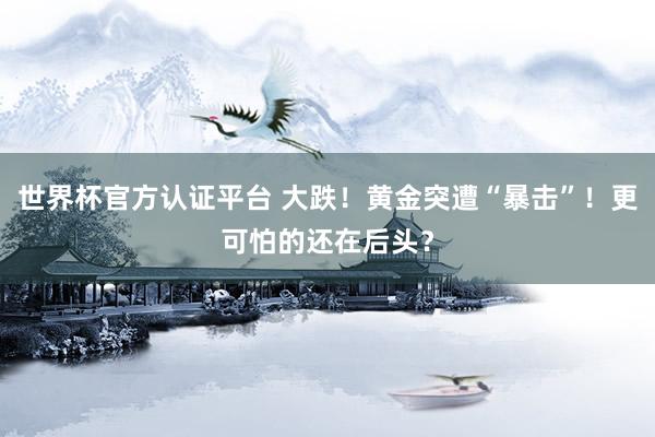 世界杯官方認證平臺 大跌！黃金突遭“暴擊”！更可怕的還在后頭？