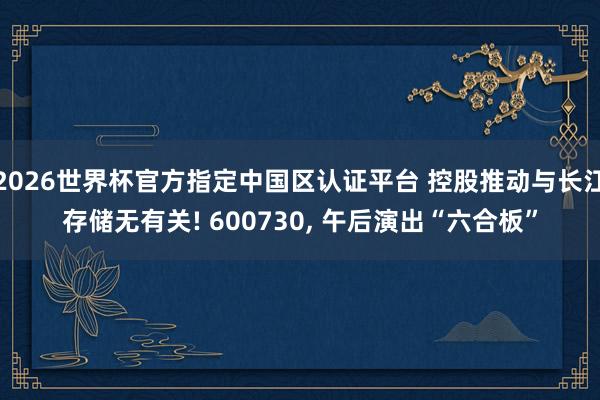 2026世界杯官方指定中國區(qū)認(rèn)證平臺 控股推動與長江存儲無有關(guān)! 600730， 午后演出“六合板”