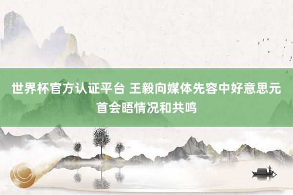 世界杯官方認證平臺 王毅向媒體先容中好意思元首會晤情況和共鳴