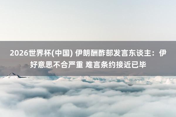 2026世界杯(中國) 伊朗酬酢部發言東談主：伊好意思不合嚴重 難言條約接近已畢