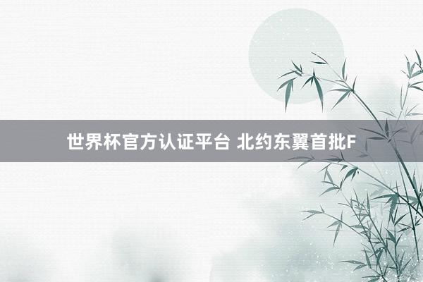 世界杯官方認(rèn)證平臺 北約東翼首批F