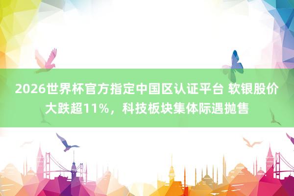 2026世界杯官方指定中國區認證平臺 軟銀股價大跌超11%，